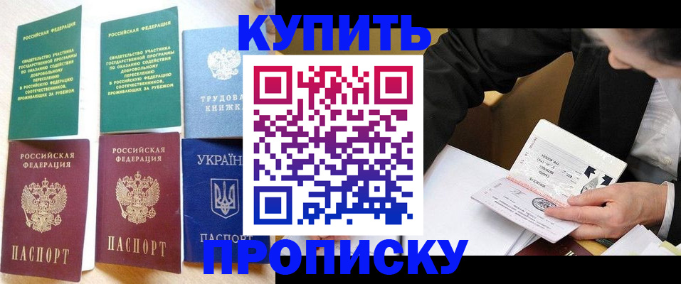 прописка для школы в Торопеце